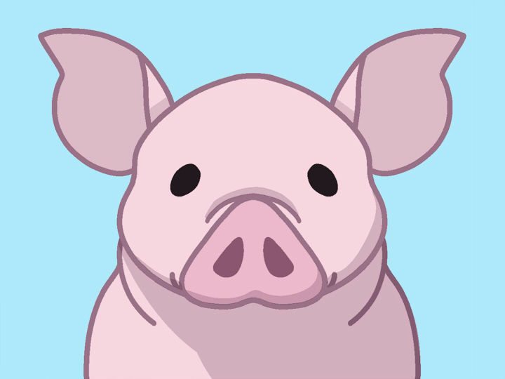An innocent pig